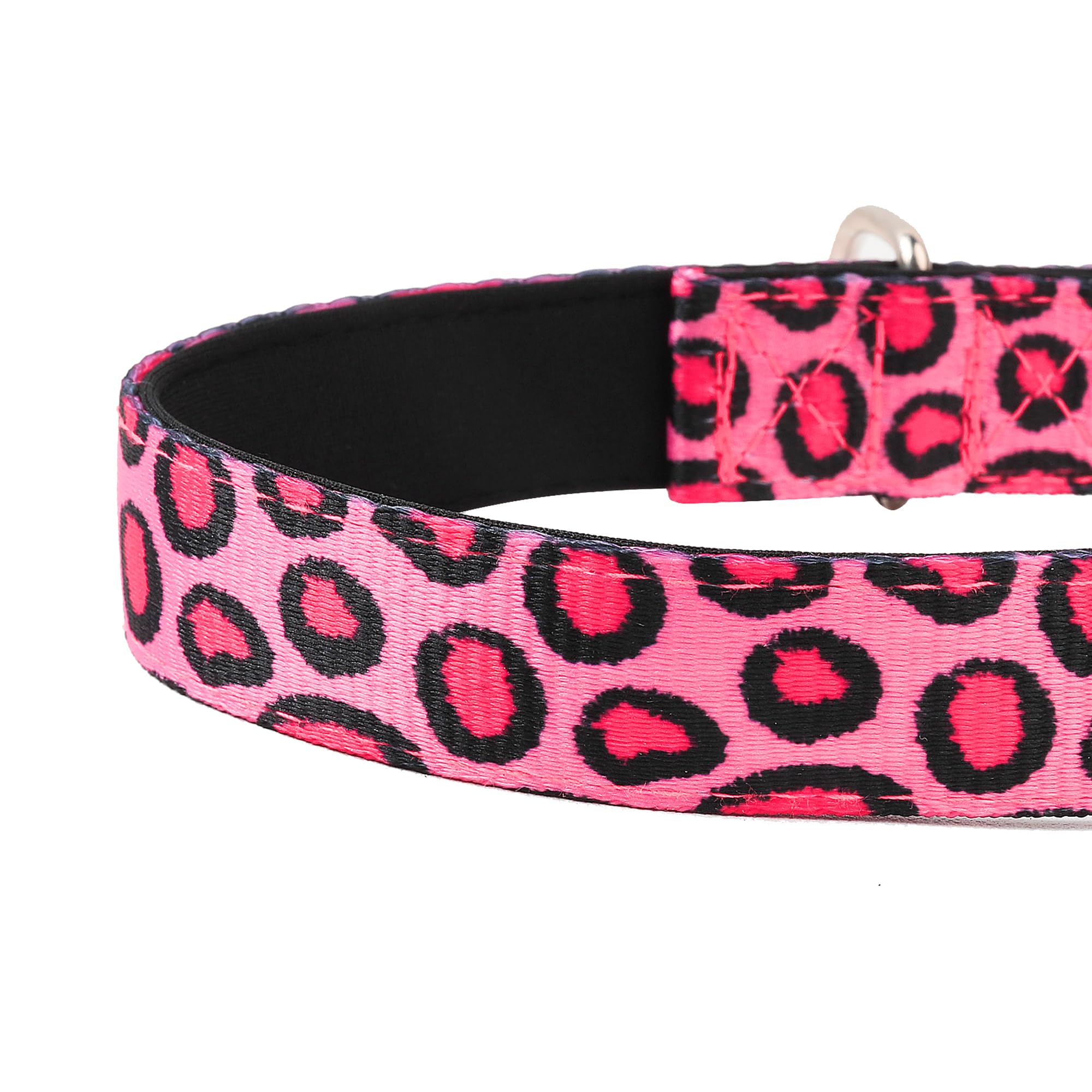 PWOD collar con bucle para etiquetas y correa, uso cómodo y práctico.
