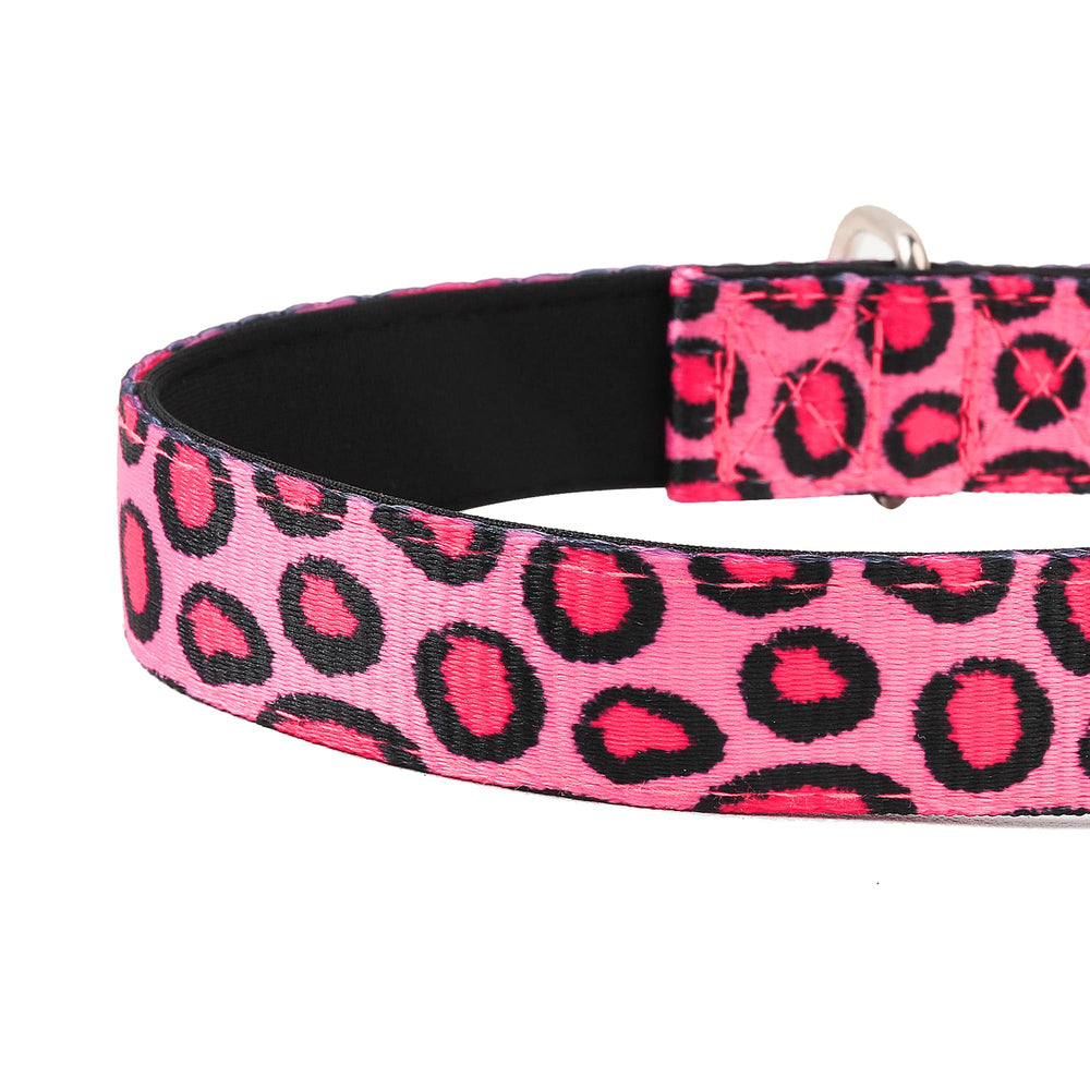 PWOD collar con bucle para etiquetas y correa, uso cómodo y práctico.