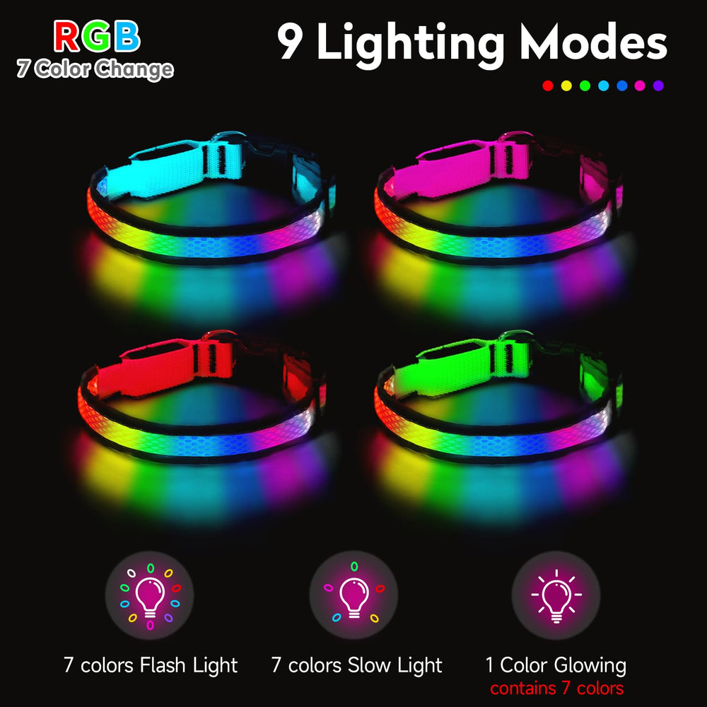 Collar PWOD LED amarillo para señales claras durante entrenamientos.