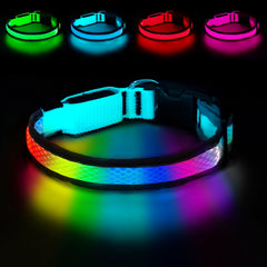 Collar PWOD LED azul con luz brillante para paseos nocturnos.