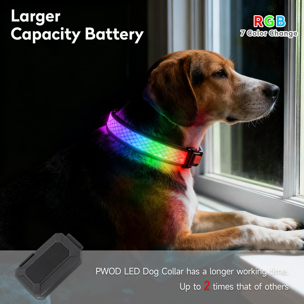 PWOD collar LED recargable USB para paseos sin baterías