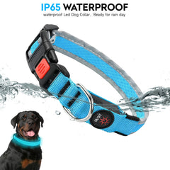 Collar PWOD LED verde facilita actividades al aire libre.