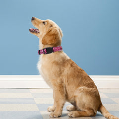 PWOD collar reflectivo 360 Leopardo Rosado, ideal para paseos nocturnos seguros.