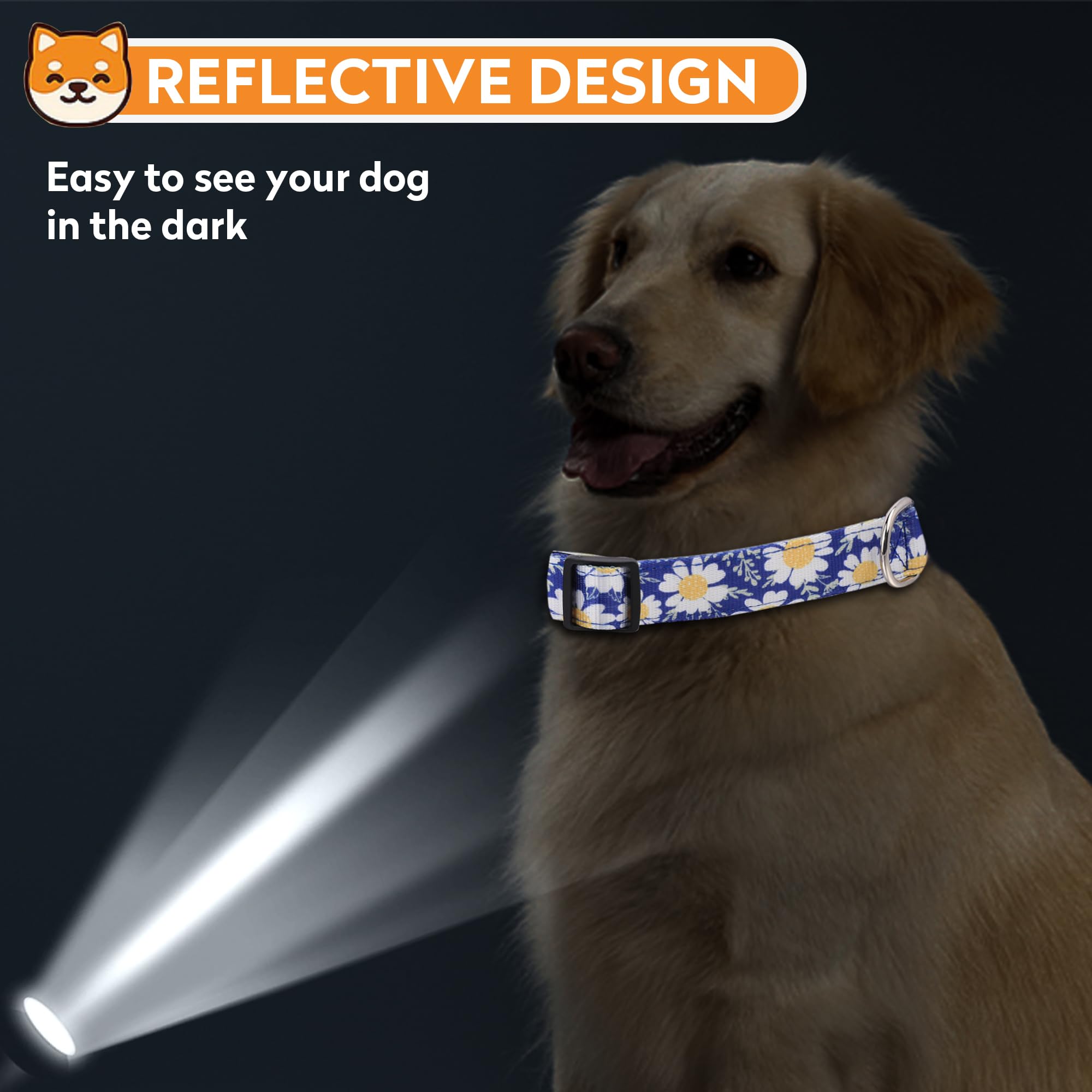 Collar PWOD en variedad de colores para combinar con tu mascota