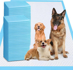 PWQOENFD tapetes-entrenamiento-perros-40x40: área amplia para adiestramiento en casa