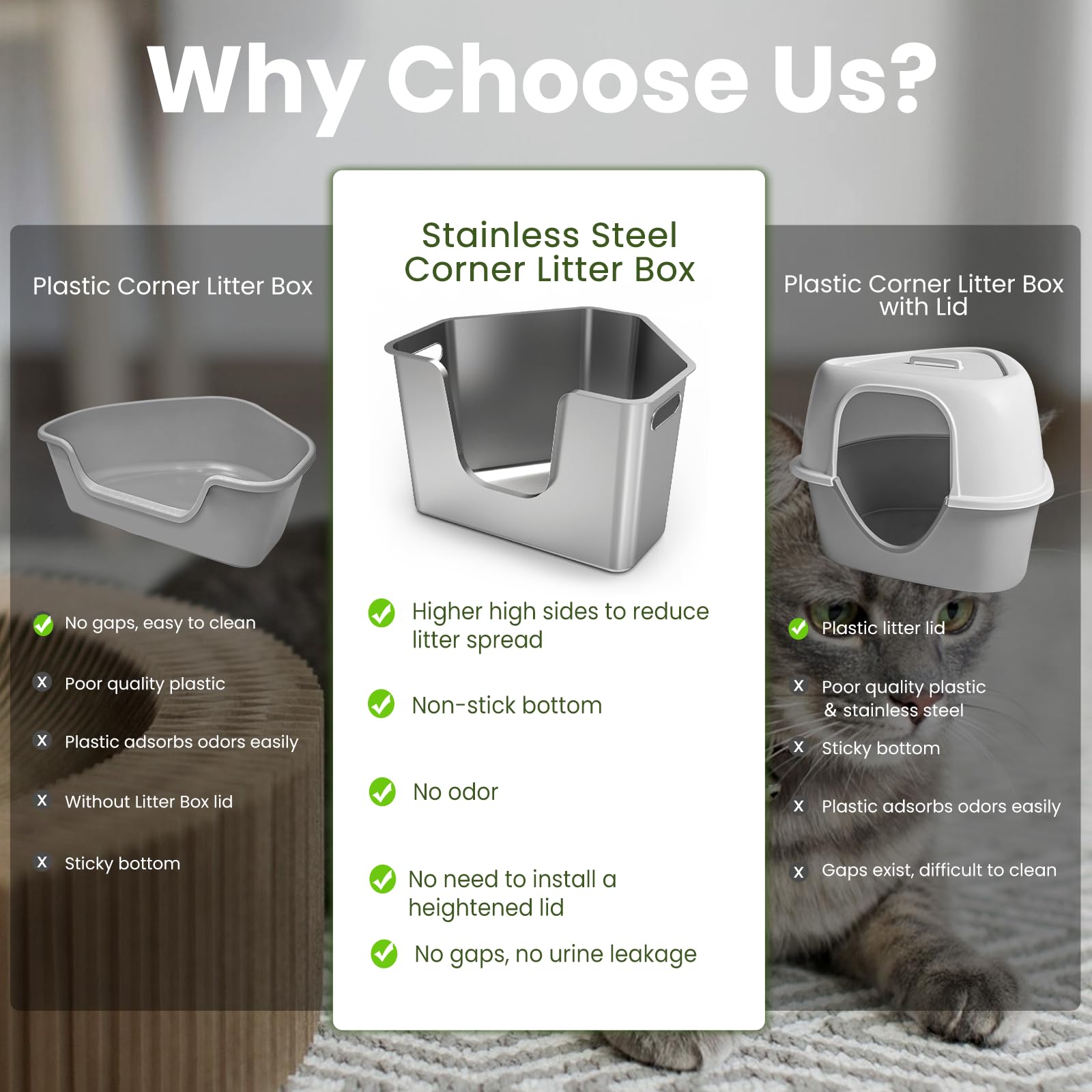 PWTAA diseño espacioso para gatos pequeños y medianos, sensación amplia.