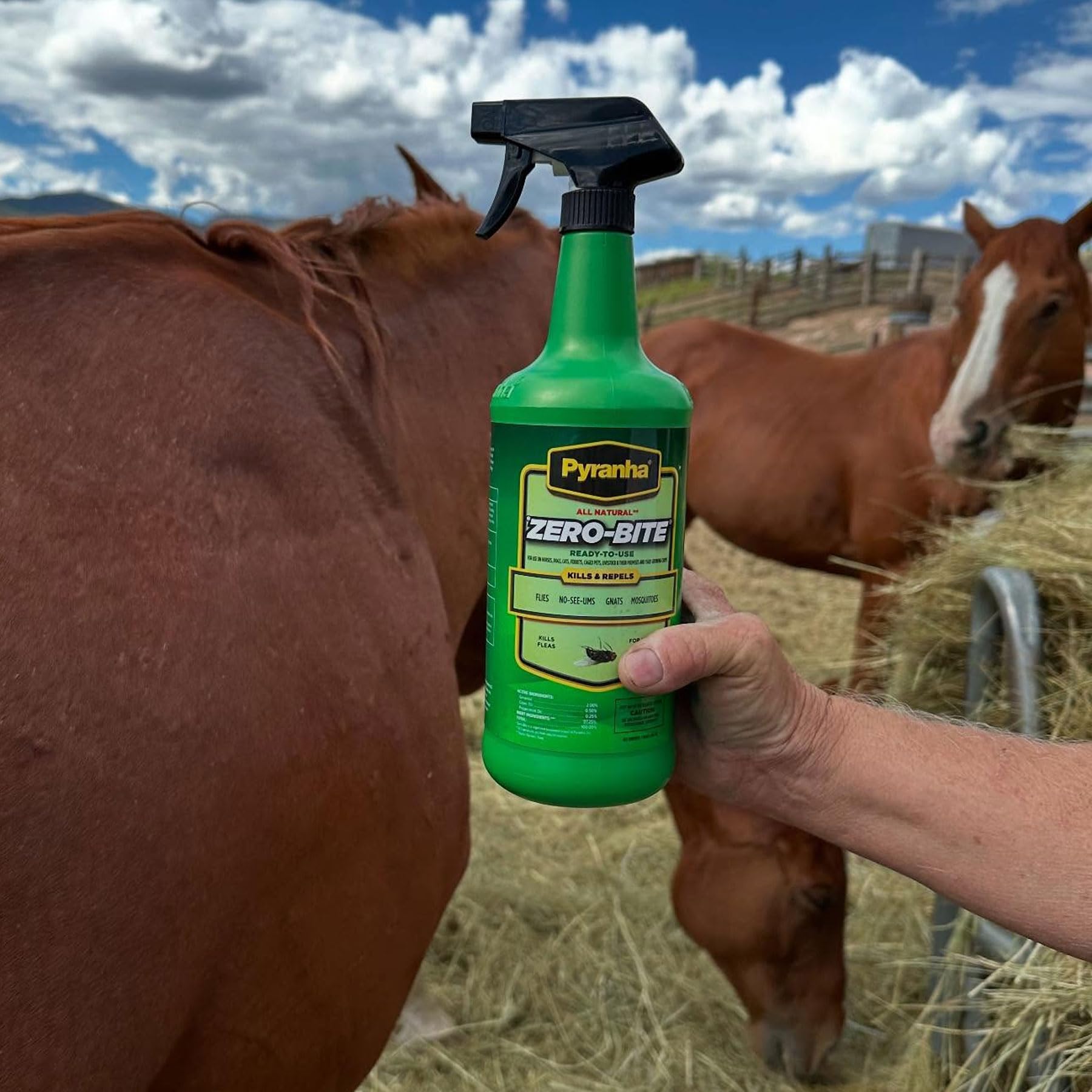 Pyranha Zero-Bite, aplicación eficiente en caballos para protección contra insectos.