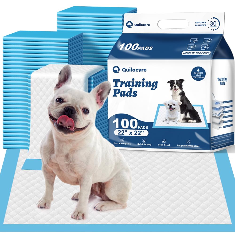 Q Quilocare almohadillas de entrenamiento de 6 capas para absorción superior.