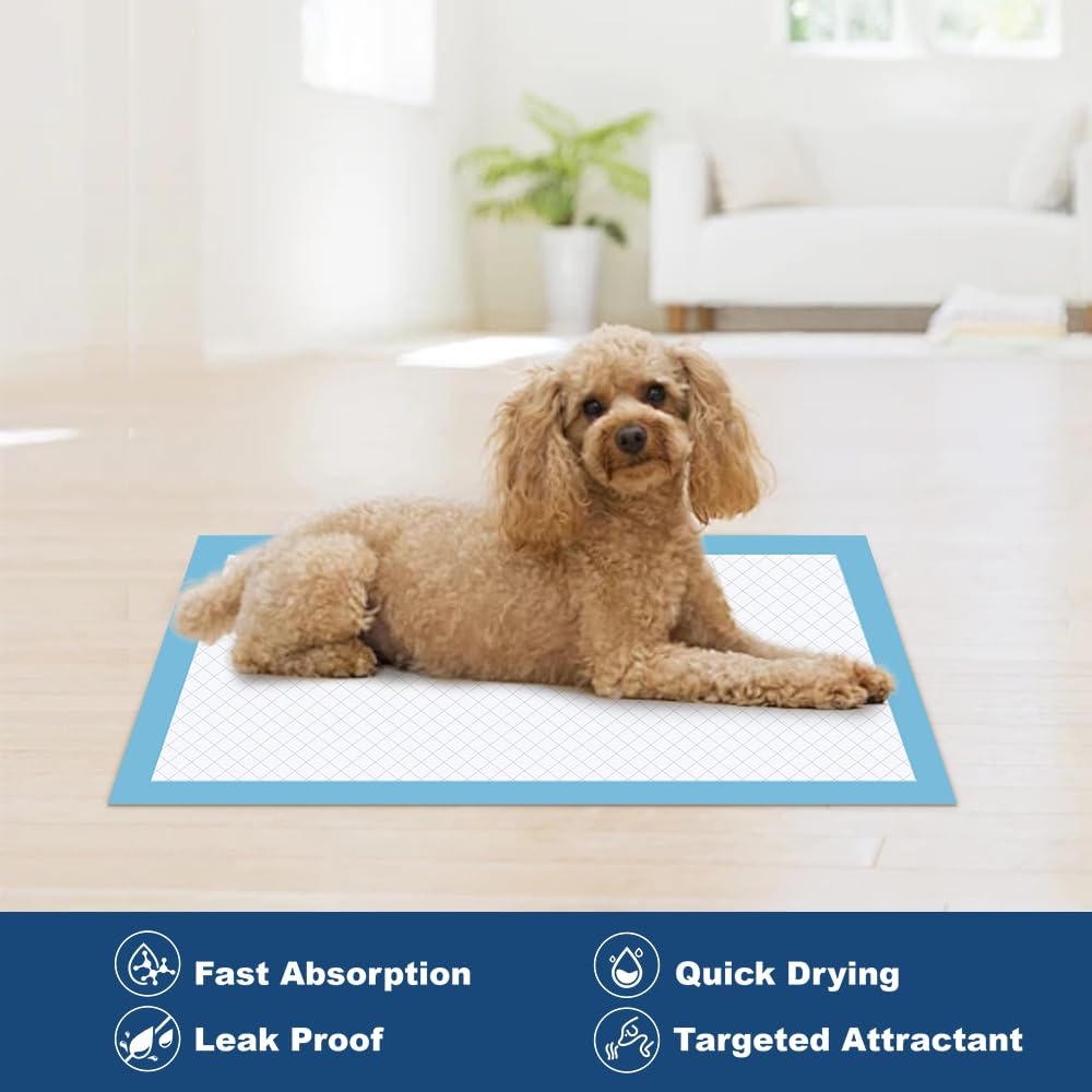 Q Quilocare uso diario para entrenamiento y limpieza del hogar.