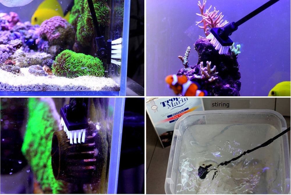 QANVEE cepillo integrado para limpieza adicional del acuario