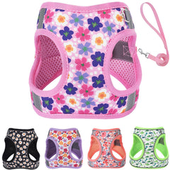 QAORD arnés para perro pequeño rosa, cómodo y seguro para paseos.