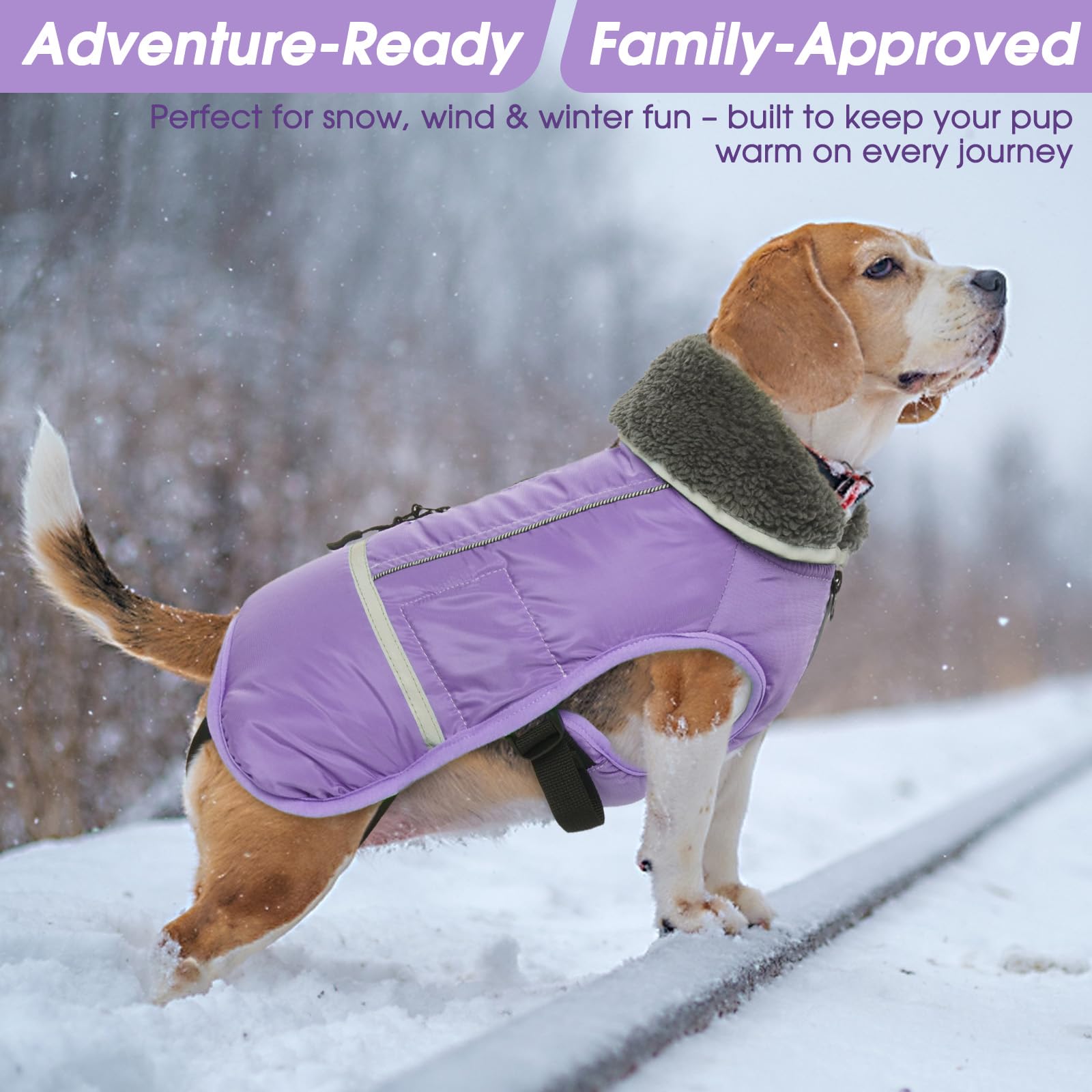 QBLEEV abrigo impermeable y resistente al viento, mantiene a tu perro seco.