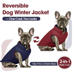 QBLEEV abrigo impermeable para perro, protege contra lluvia y viento.