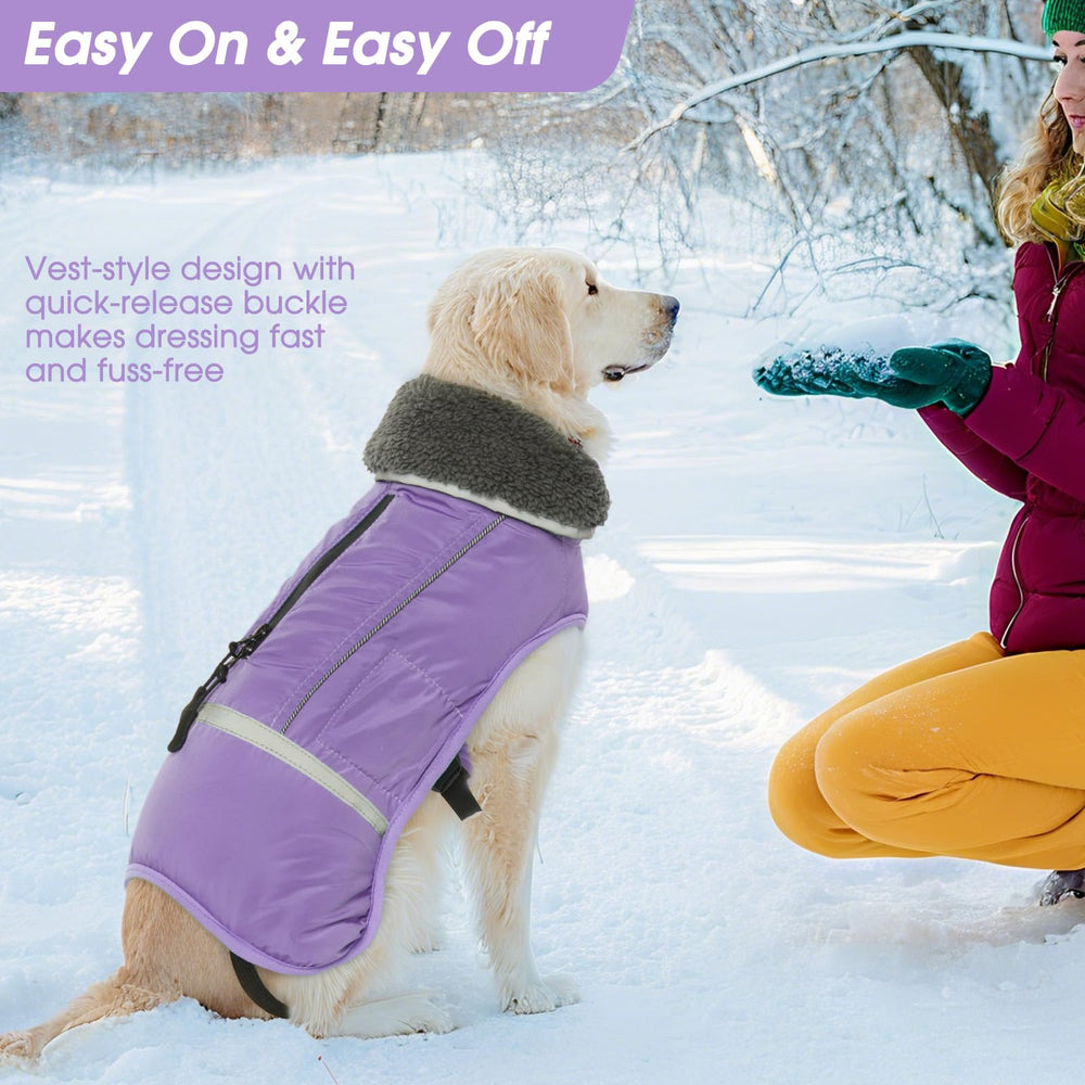 QBLEEV abrigo disponible en tallas variadas para perros pequeños y grandes.