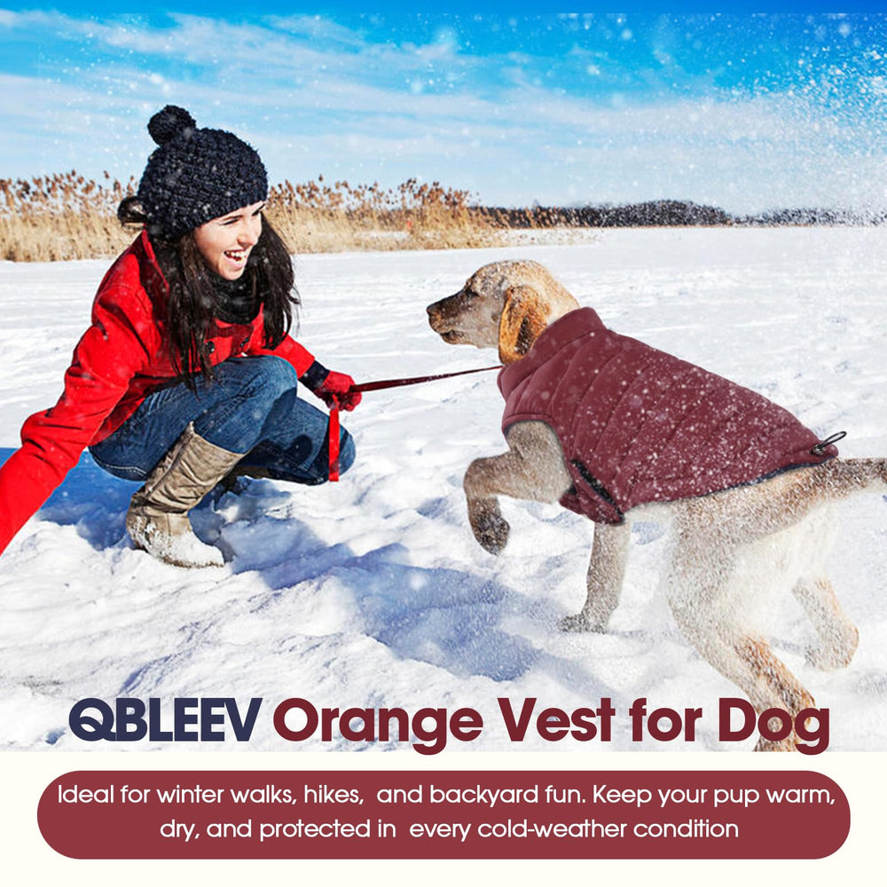QBLEEV disponible en tallas XS–3XL para perros grandes.
