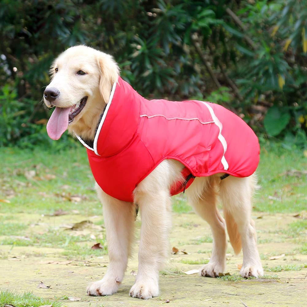 QBLEEV talla disponible de S a XXXL para todo tipo de perros.