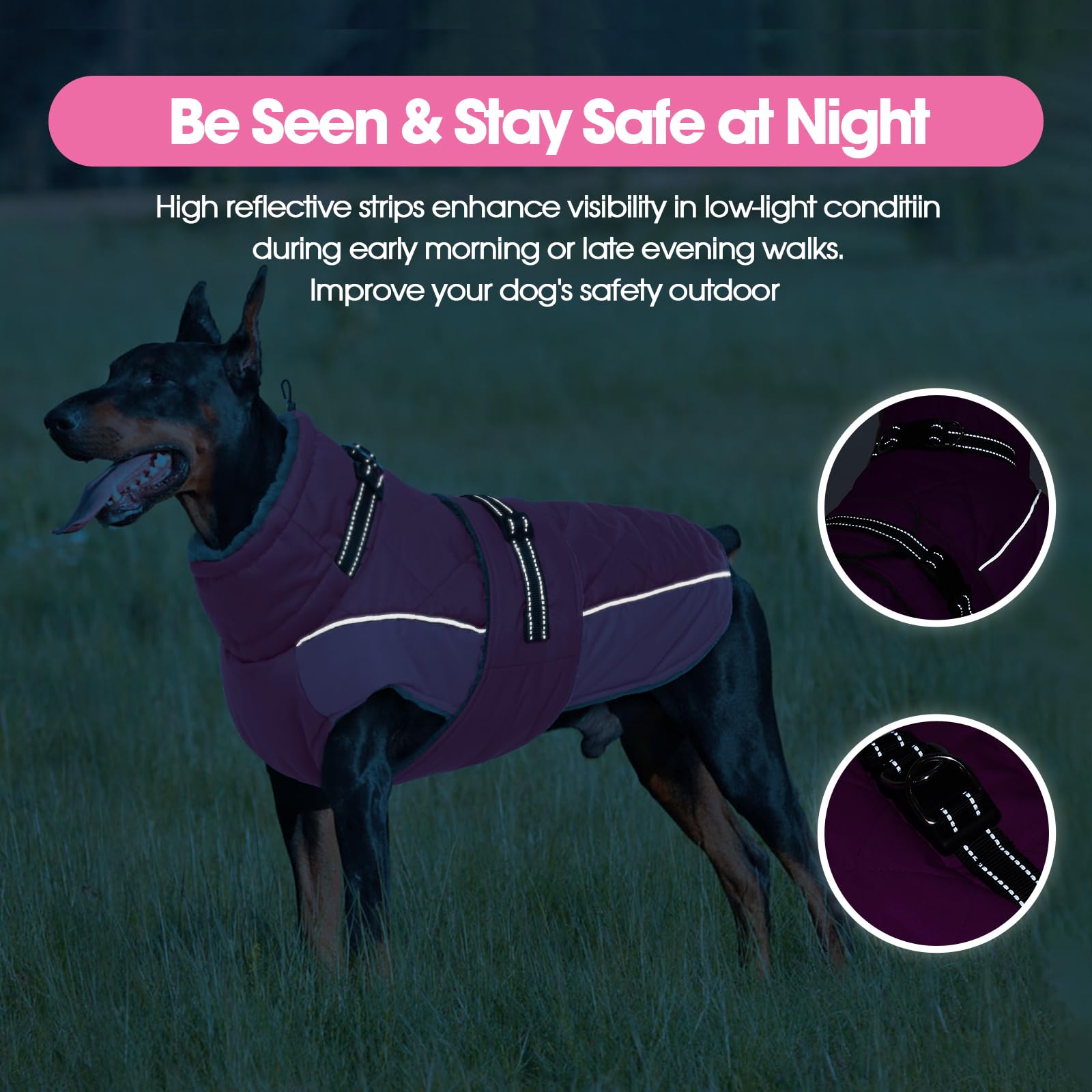 QBLEEV chaleco para perros, abertura para correa compatible con arnés.