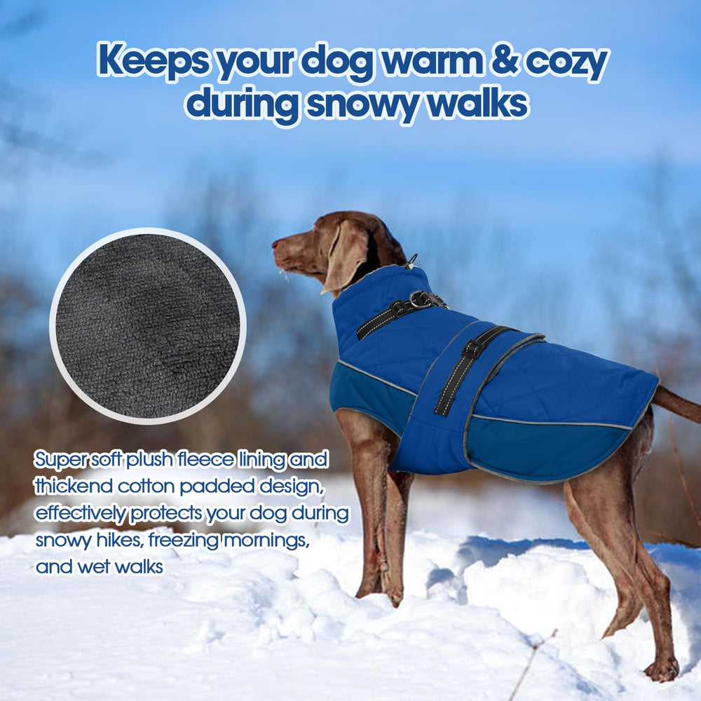 QBLEEV chaqueta para perros impermeable protege de lluvia ligera.