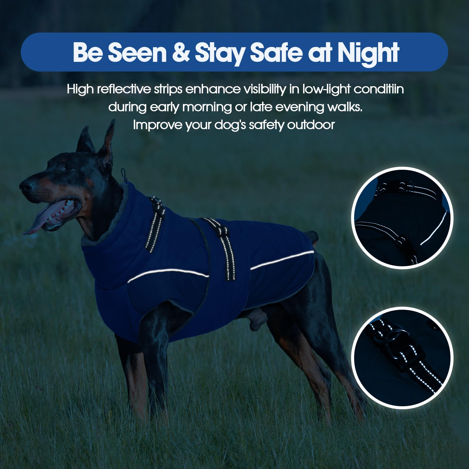 QBLEEV chaqueta para perros con orificio para correa compatible con arnés.