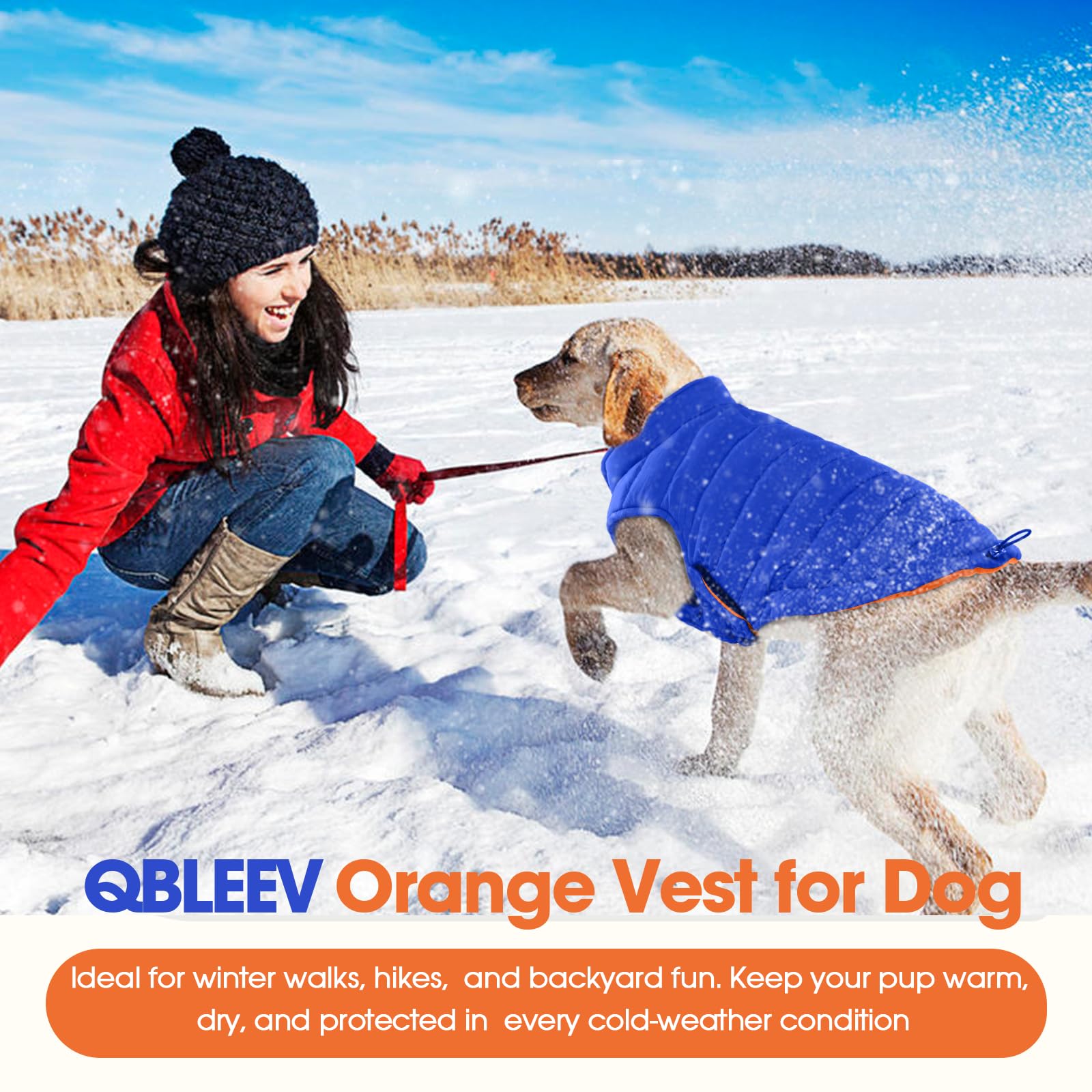 QBLEEV chaqueta perro reversible acolchado suave: comodidad durante caminatas frías