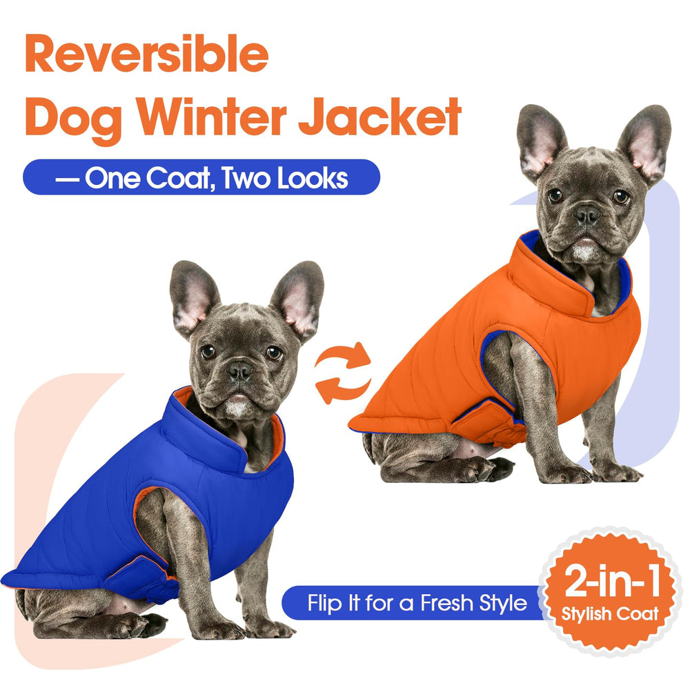 QBLEEV chaqueta perro reversible dorso: estilo versátil para climas variables