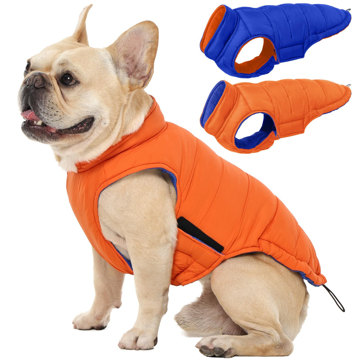 QBLEEV chaqueta perro reversible frente: protección ligera para paseos diarios