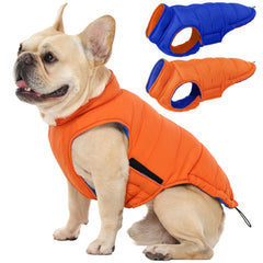 QBLEEV chaqueta perro reversible frente: protección ligera para paseos diarios