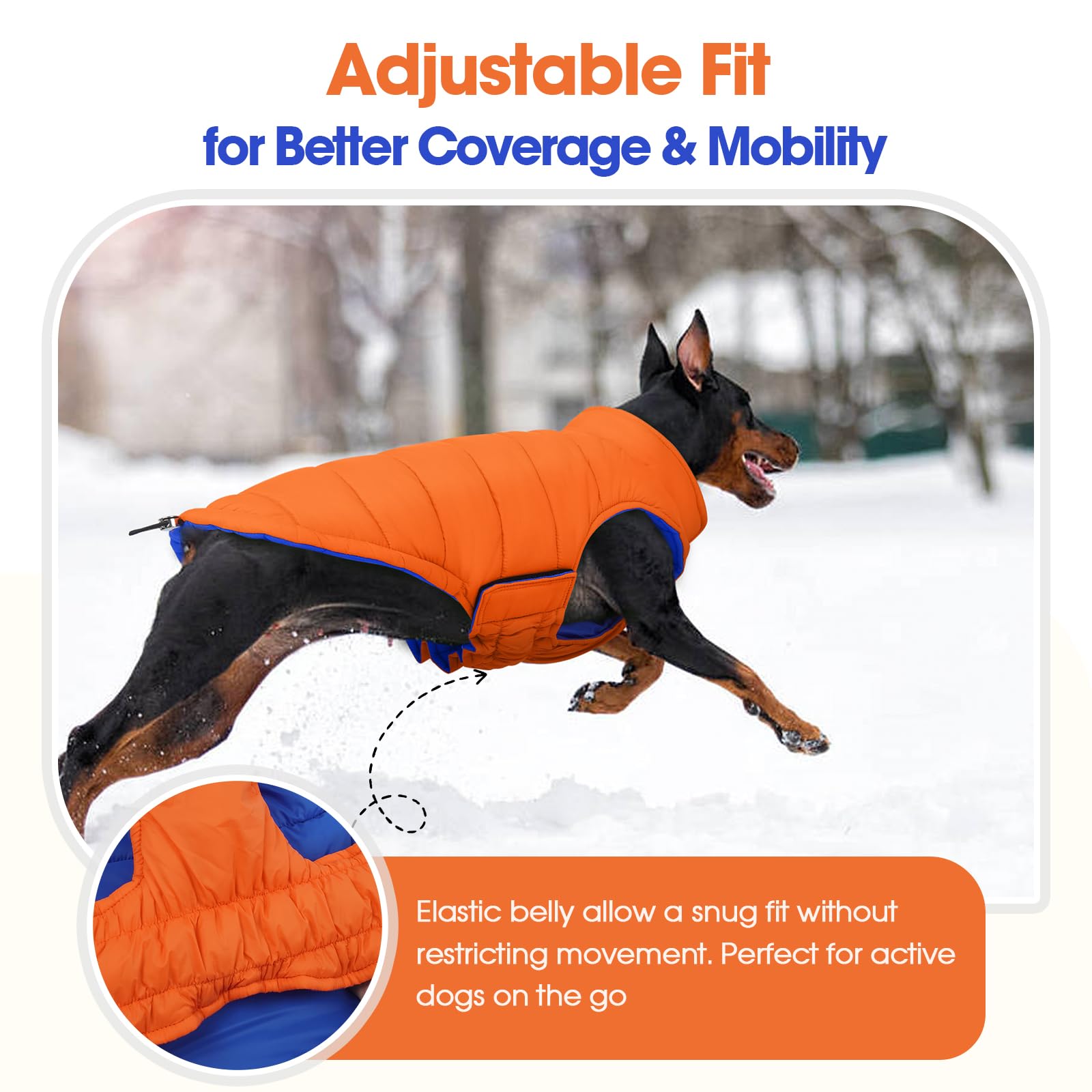 QBLEEV chaqueta perro reversible tallas XS a XL: adaptabilidad para tu mascota