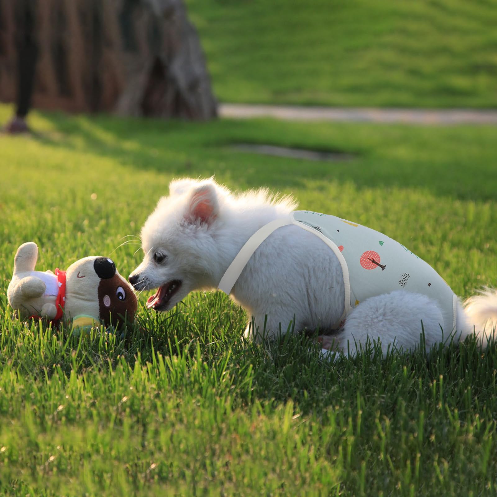 Pañales QBLEEV para perros en celo con protección en casa