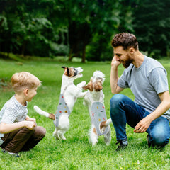 Pañales QBLEEV lavables con limpieza rápida para perros
