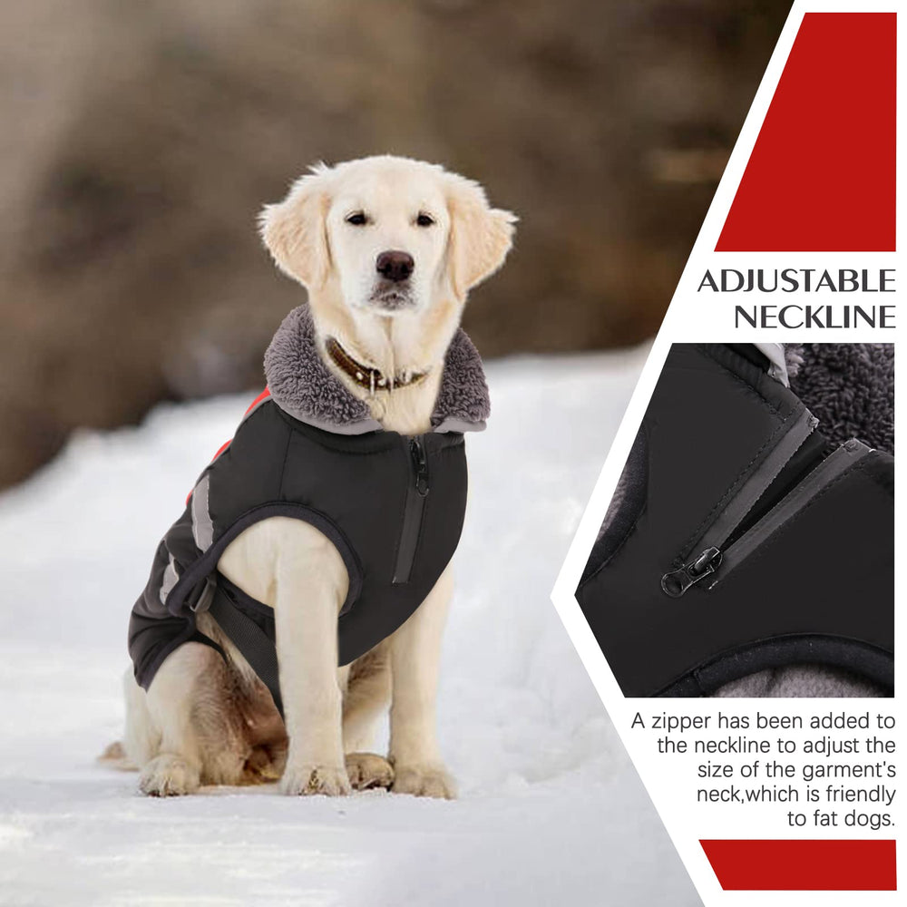 QBLEEV tallas disponibles para perros pequeños y grandes.