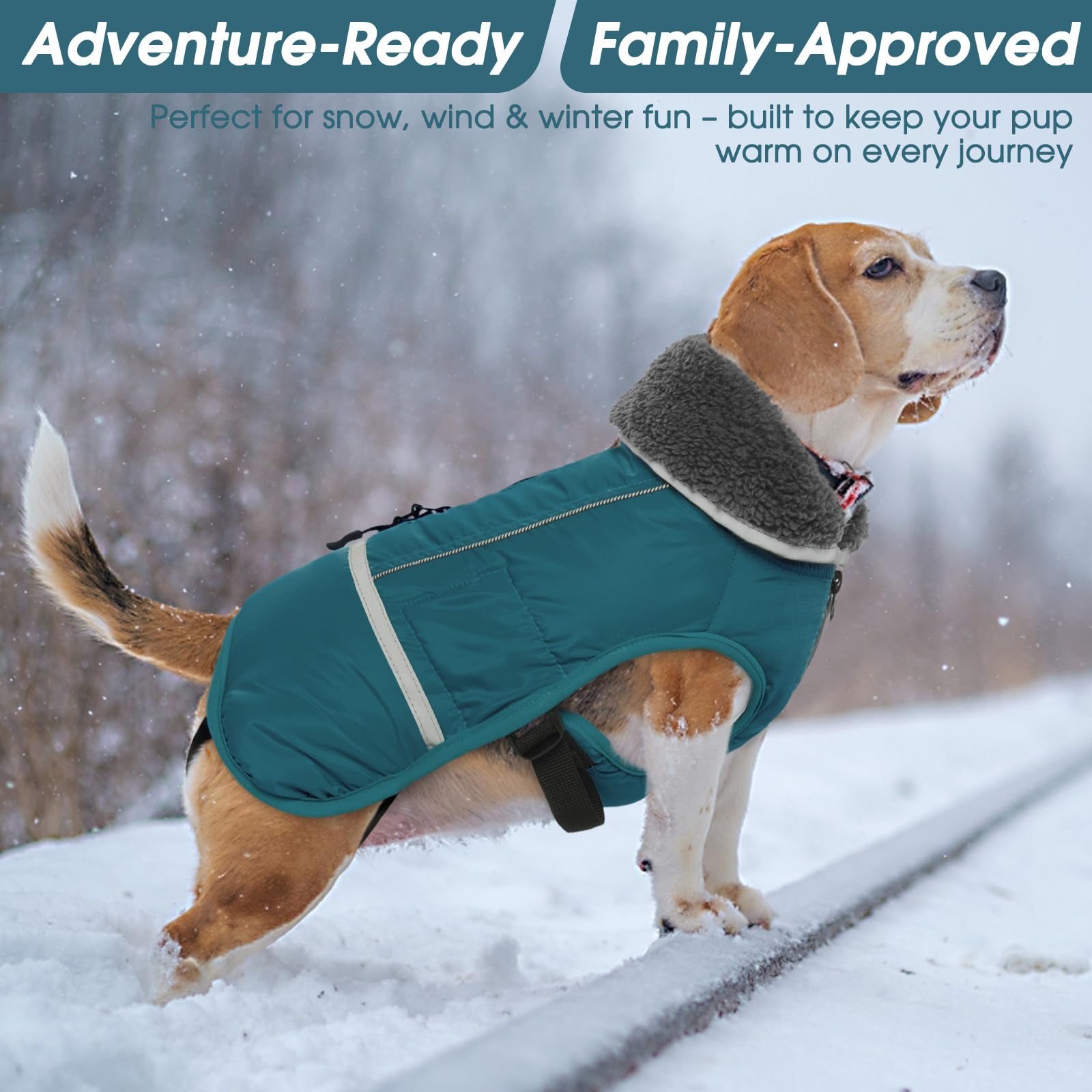QBLEEV disponible en varias tallas para perros pequeños y grandes.