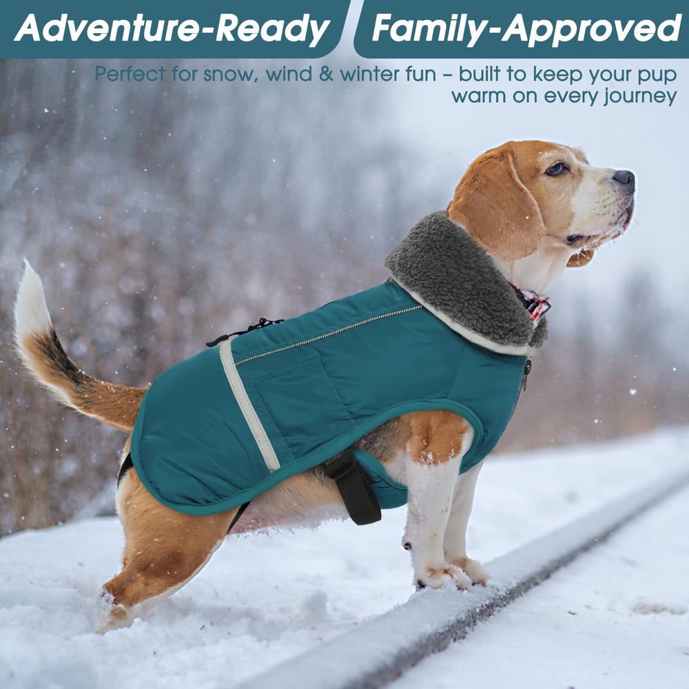 QBLEEV disponible en varias tallas para perros pequeños y grandes.