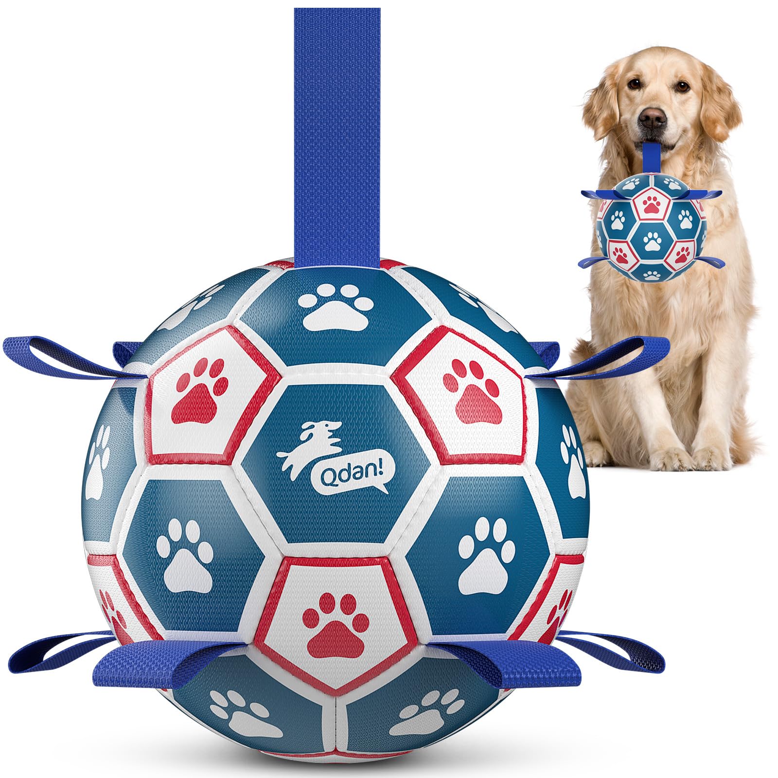 QDAN balón para perro 8 pulgadas frente, ideal para juego interactivo al aire libre