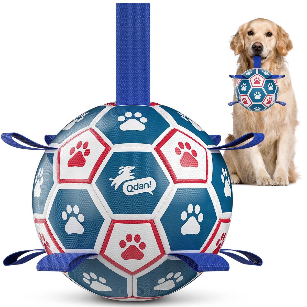 QDAN balón para perro 8 pulgadas frente, ideal para juego interactivo al aire libre