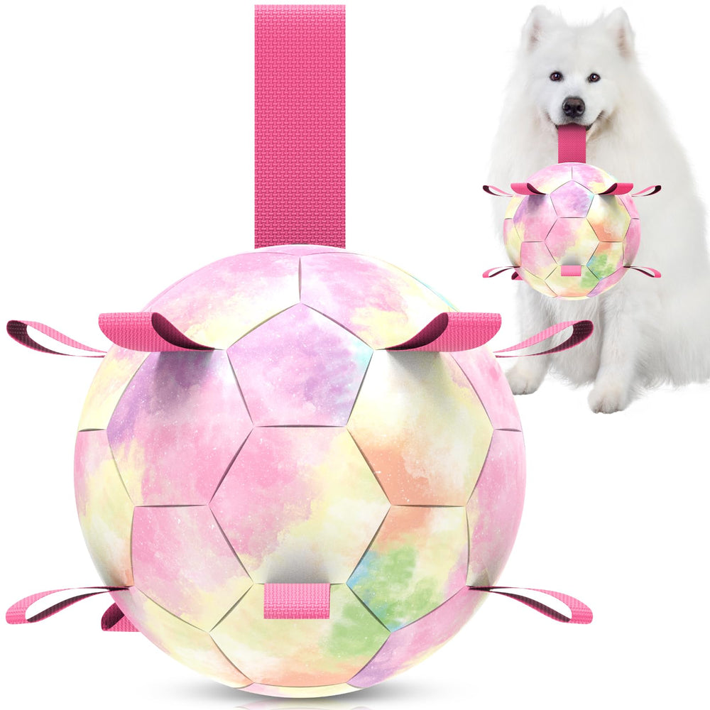 Pelota de fútbol para perros QDAN arcoíris, ideal para juegos al aire libre.