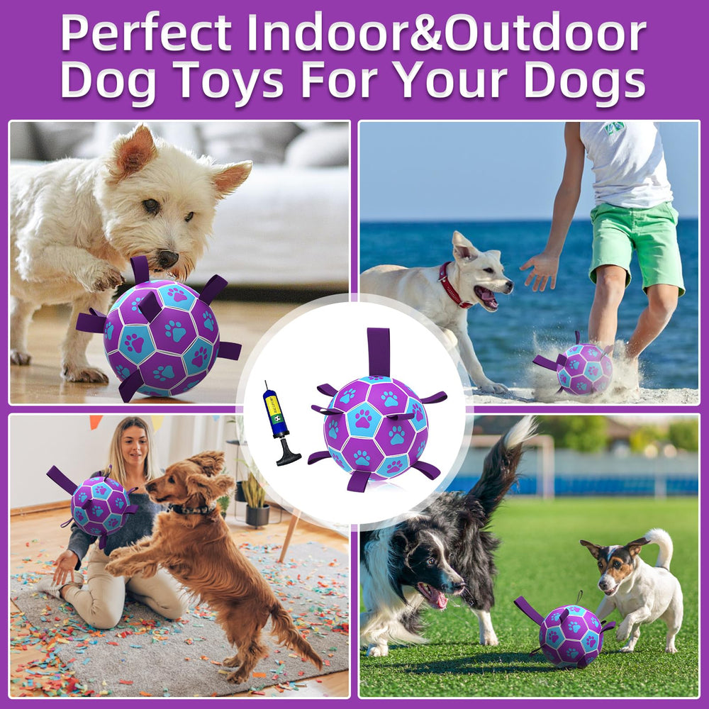 QDAN Juguete acuático para perros, perfecto para piscina o playa.