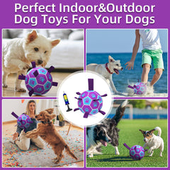 QDAN Juguete acuático para perros, perfecto para piscina o playa.