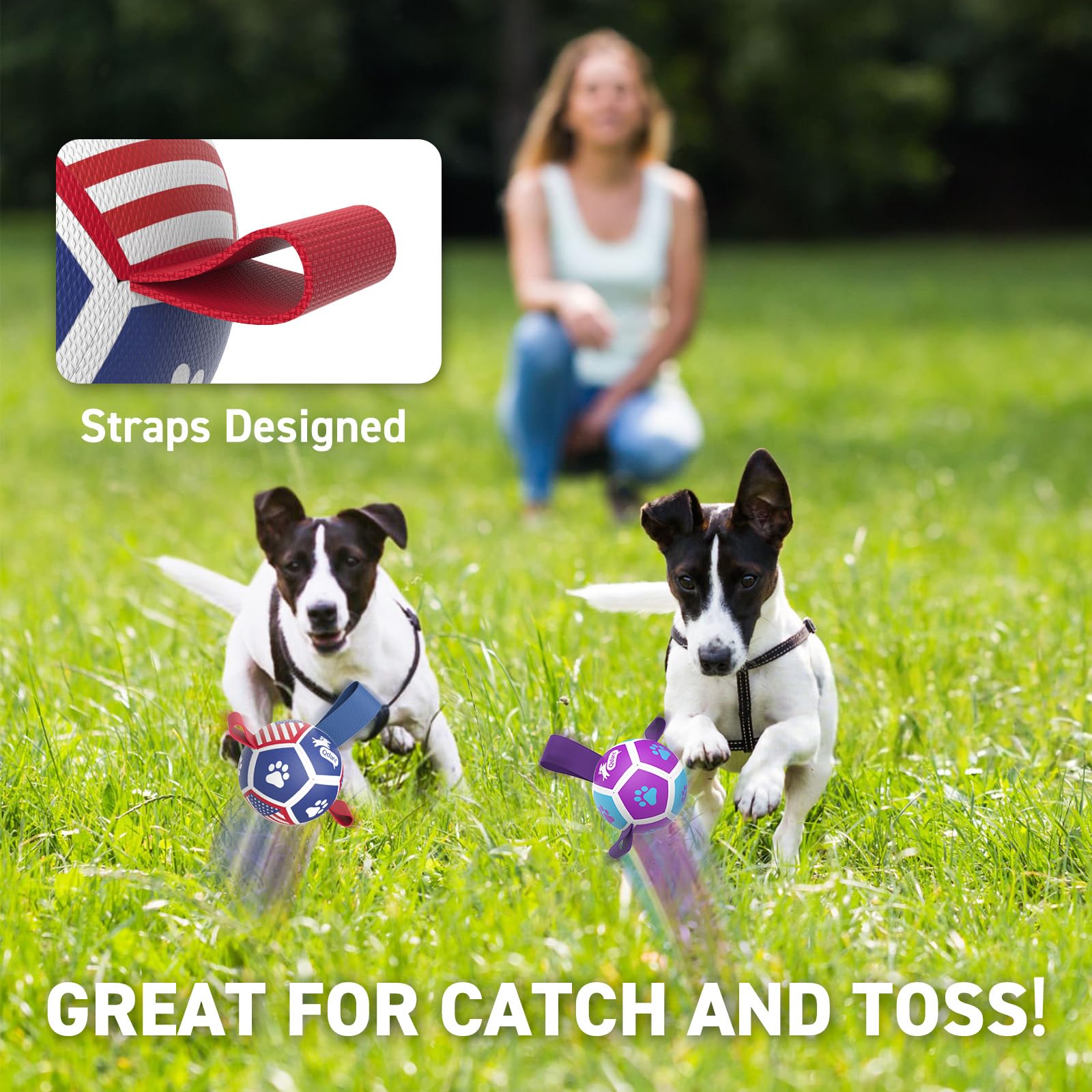 QDAN juguete canino pequeño interactivo ideal para entrenamiento y juego.