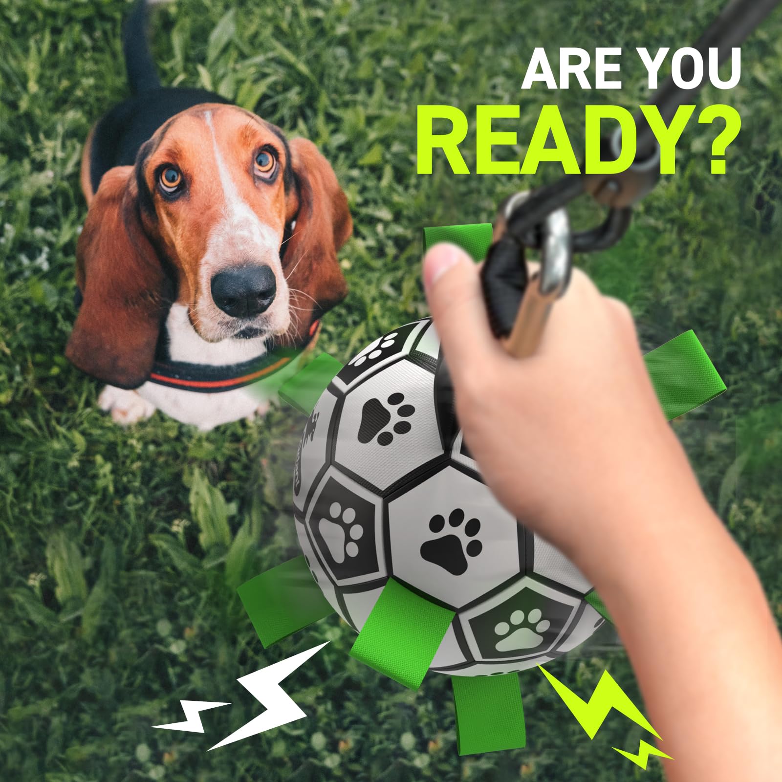 QDAN Tether Tug entretenimiento continuo para canalizar la energía del perro