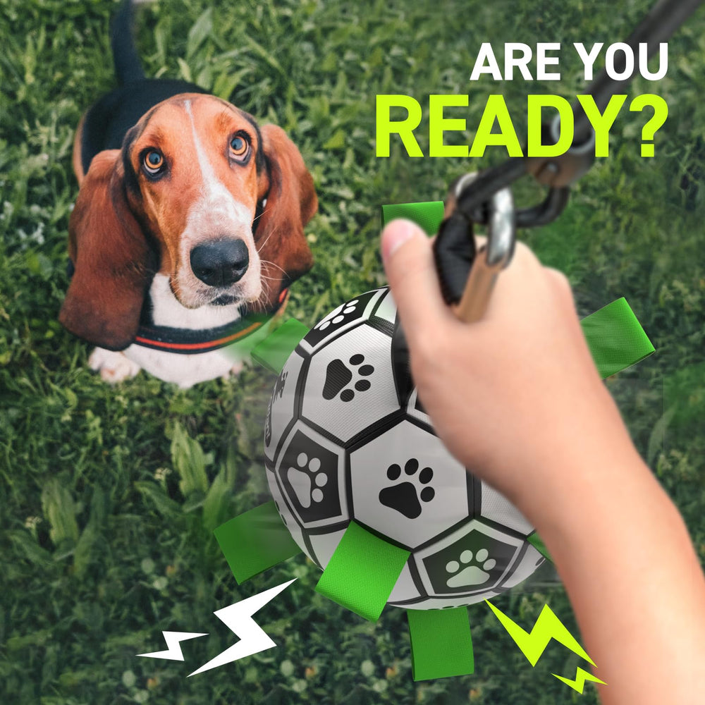 QDAN Tether Tug entretenimiento continuo para canalizar la energía del perro