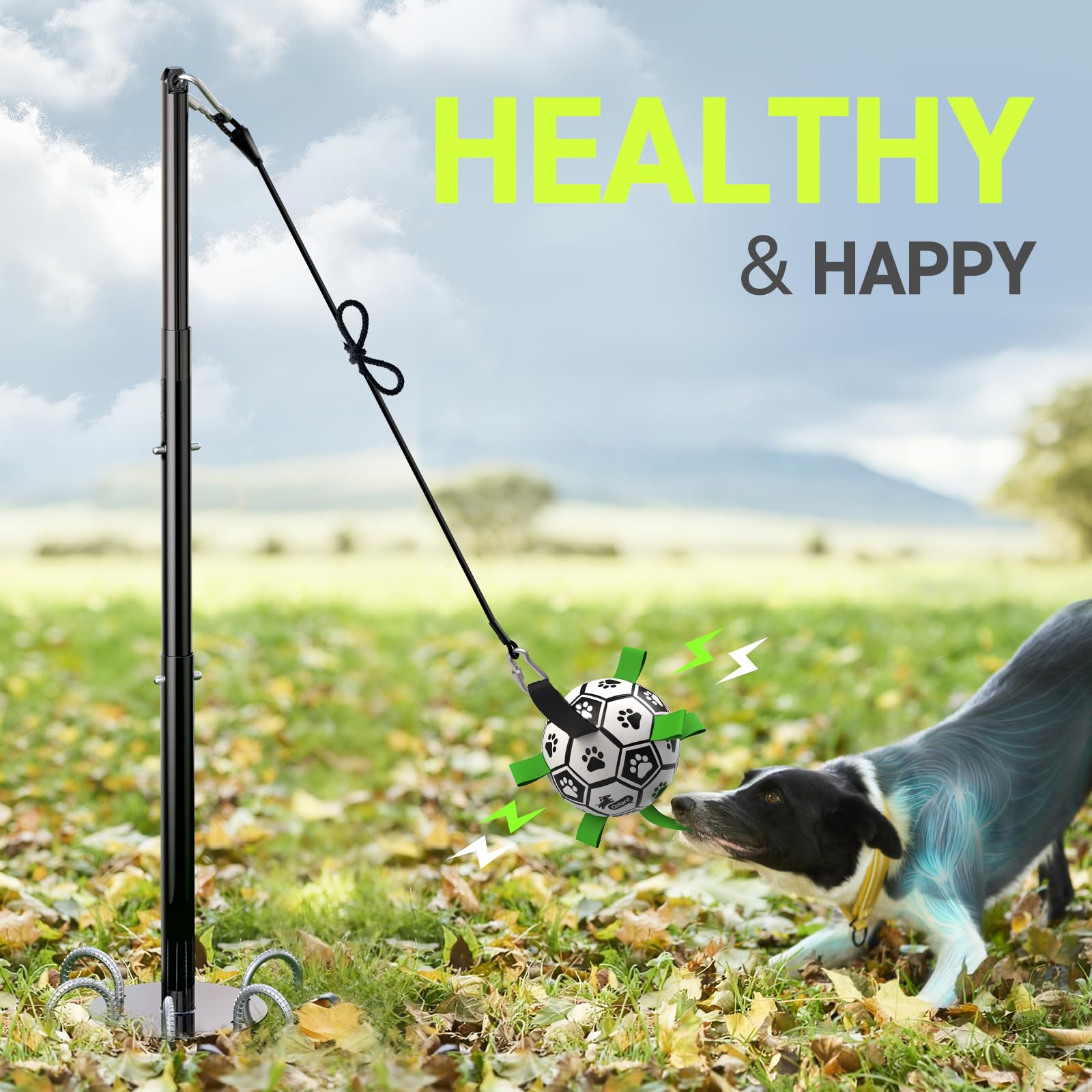 QDAN Tether Tug apto para todas las razas y edades con supervisión