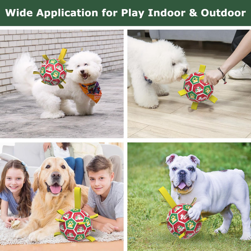 QDAN juego interior y exterior para perros