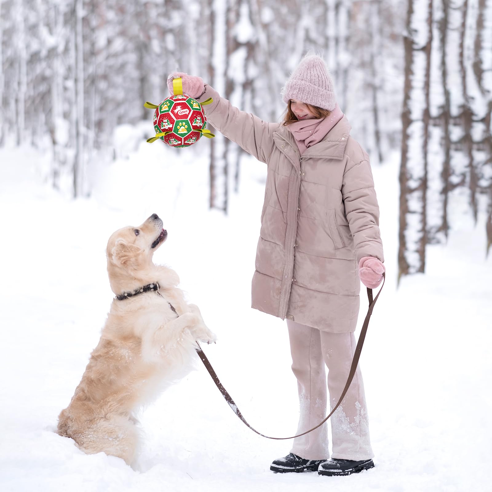 QDAN regalo navideño para perros medianos y grandes