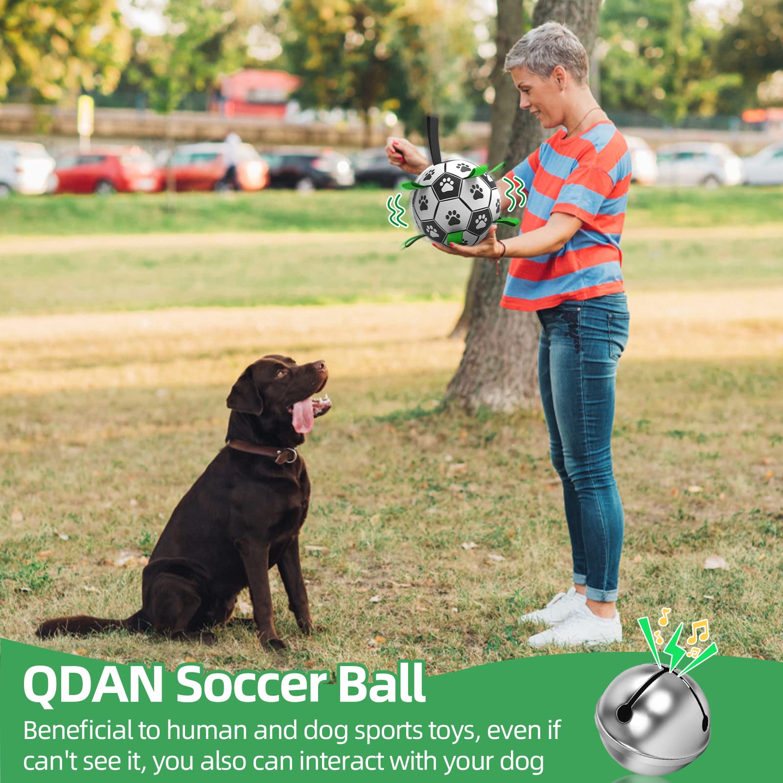 QDAN pelota, tamaño intermedio para perros medianos y grandes.