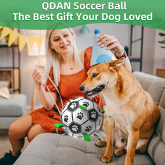 QDAN pelota, rebote impredecible para mantener activo al perro.