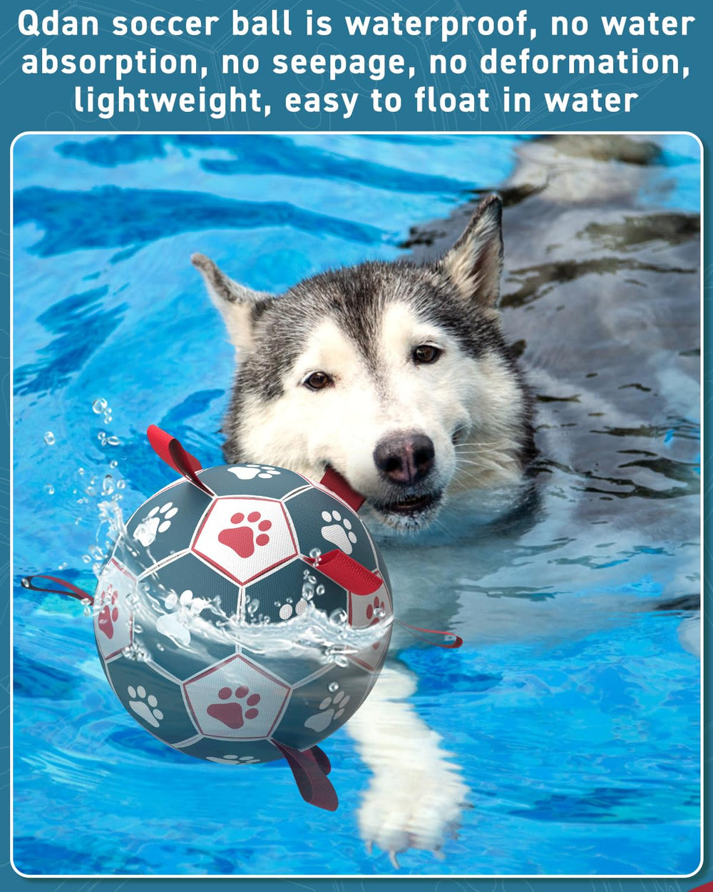 Tamaño diez pulgadas ideal para perros grandes con QDAN.