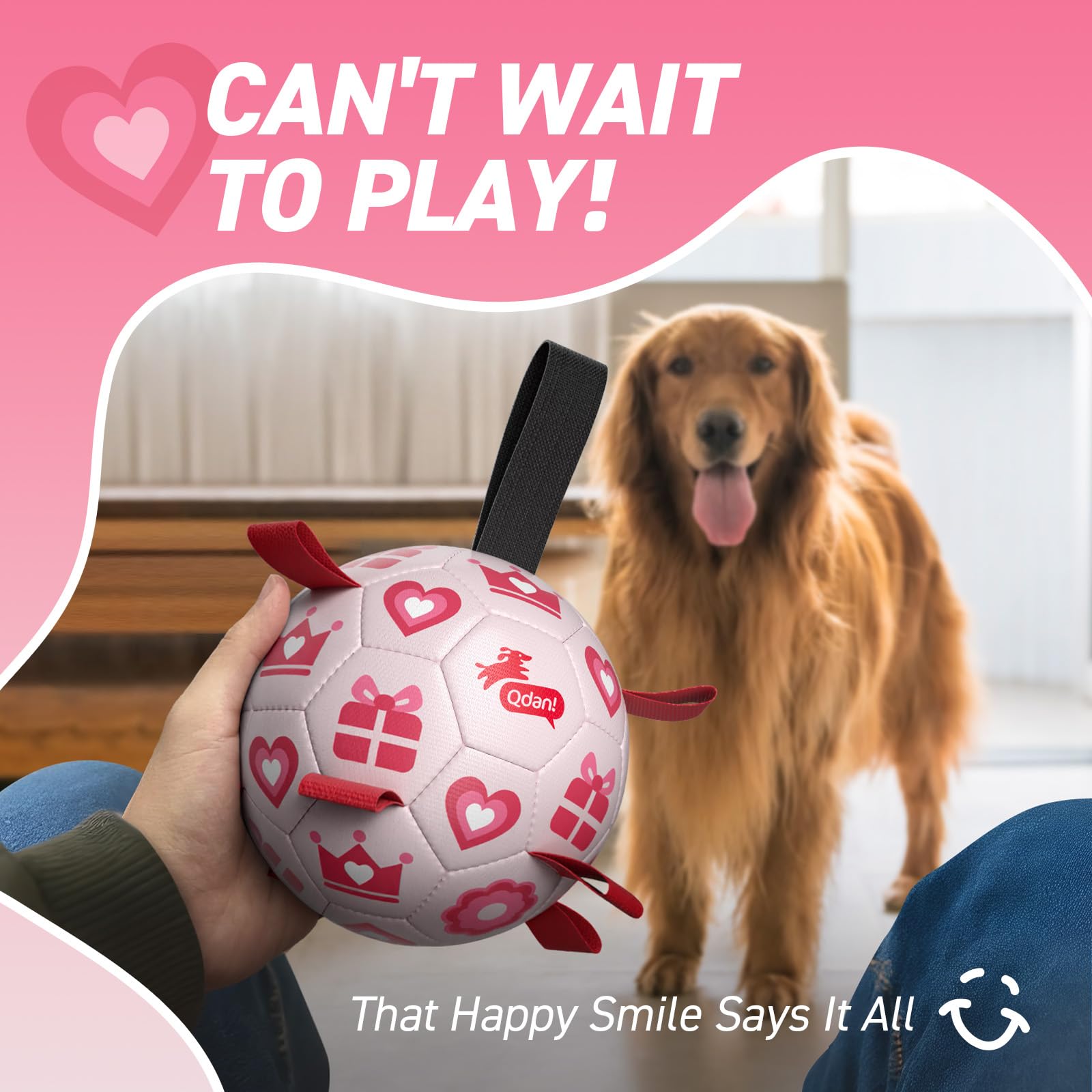 QDAN balon 8 pulgadas, adecuado para perros medianos y grandes.