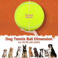 QDAN balón tenis para perros de goma natural, adecuado para entrenamiento indoor y outdoor.