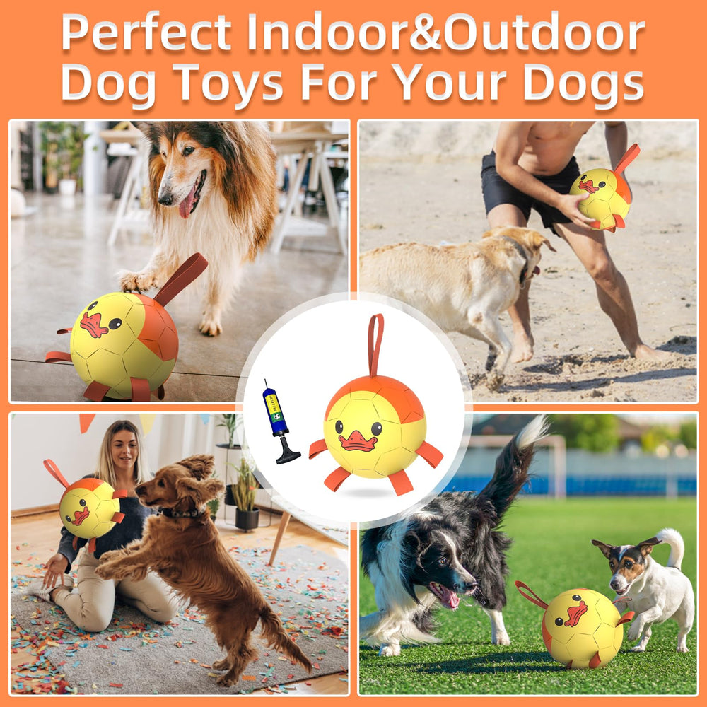QDAN Pelota para perro que flota, perfecta para juegos en agua.